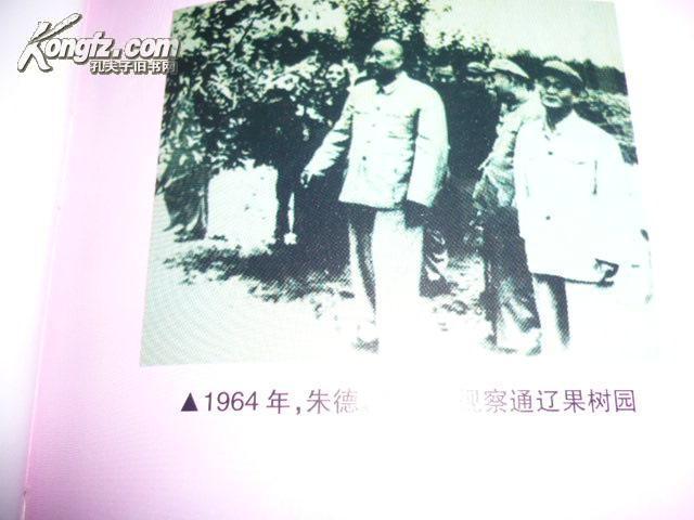 哲里木盟人口_哲里木盟医院老照片
