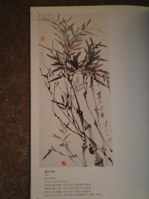 墨行墨竹(中国墨竹画家林增华作品集)8开(c)