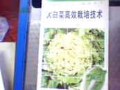 奔小康丛书 蔬菜系列    大白菜高效栽培技术