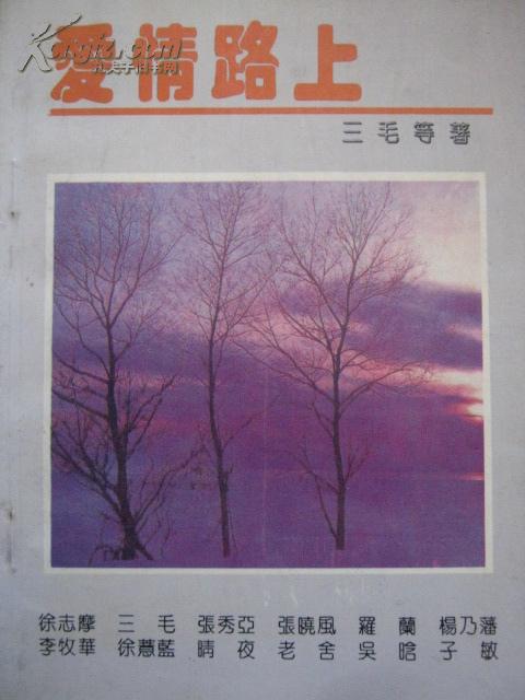 爱情路上作者：三毛 等著出版社：南海出版公司出版时间：1992 11印刷时间