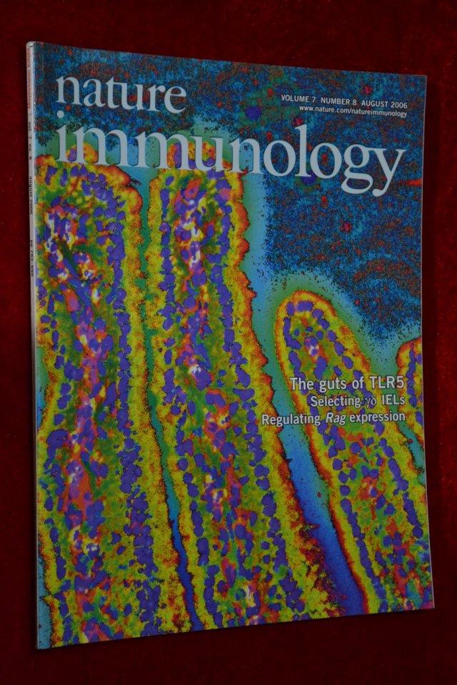 nature immunology 2006/08 vol.7 no.8 783-890_孔夫子旧书网