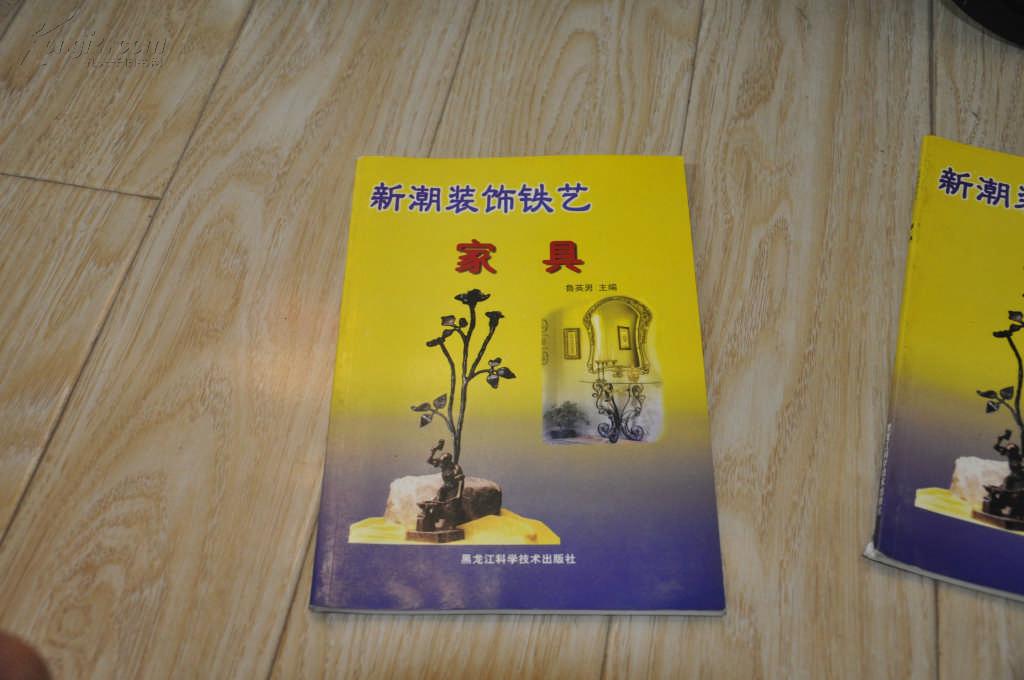新潮装饰铁艺----家具.(16开,全彩图册)