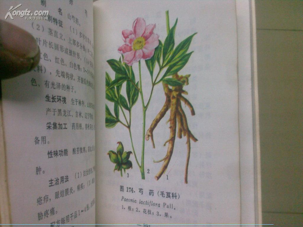 采药简谱_采药姑娘上山来 对照