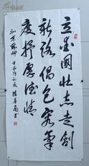 AZY010652北京市老年书画研究会会员，书画家 陈华飞(1937-) 书自作诗书法 一件(137*69cm，约8.5平尺)