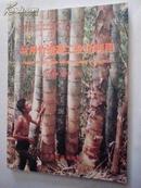 材用竹资源工业化利用 98年1版1印，软精装本
