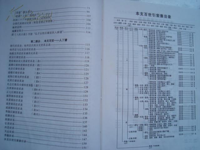 杨氏族谱大晏堂陕西关西孔子怀化飞山王杨再思湖南新晃重庆贵州等地有