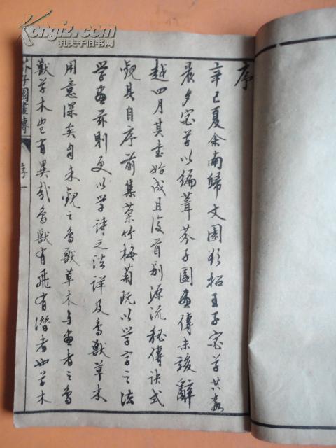虫二飞曲谱_像蟑螂会飞的硬壳虫