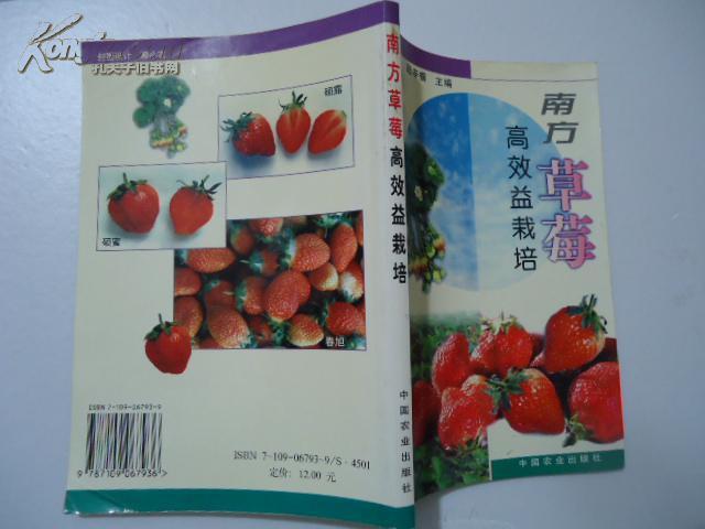 南方草莓高效益栽培