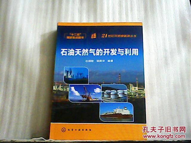 21世纪可持续能源丛书：石油天然气的开发与利用