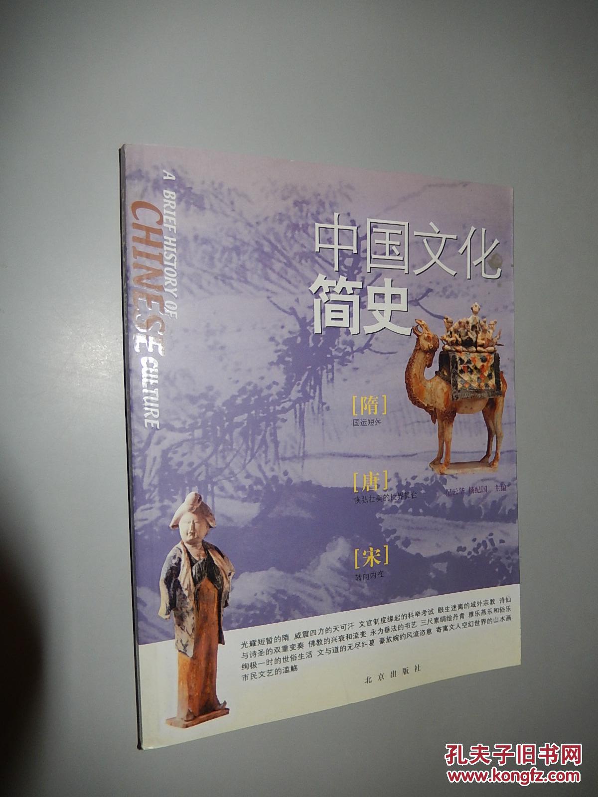 中国文化简史 隋唐宋