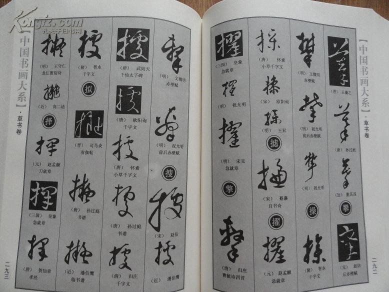 正版书 《中国草书大字典》 大16开精装一版一印本(有大量章草字体)