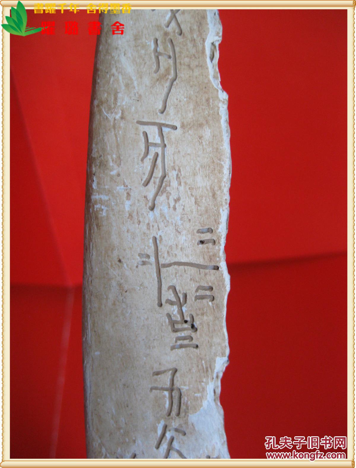 《商周时期甲骨文兽骨,大型猛兽肋骨,兽骨呈弧面形,尺寸(长宽厚)50.
