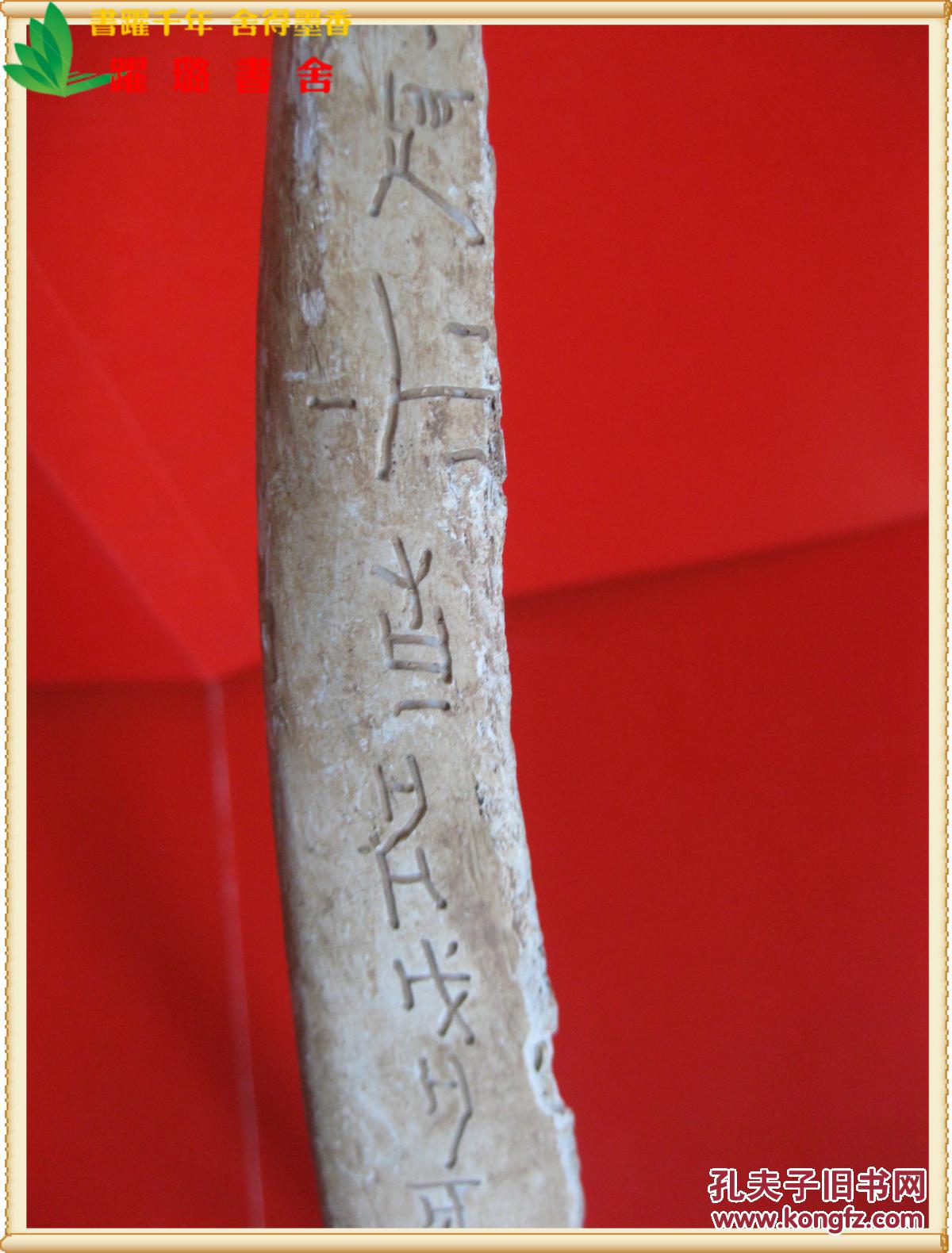 《商周时期甲骨文兽骨,大型猛兽肋骨,兽骨呈弧面形,尺寸(长宽厚)50.