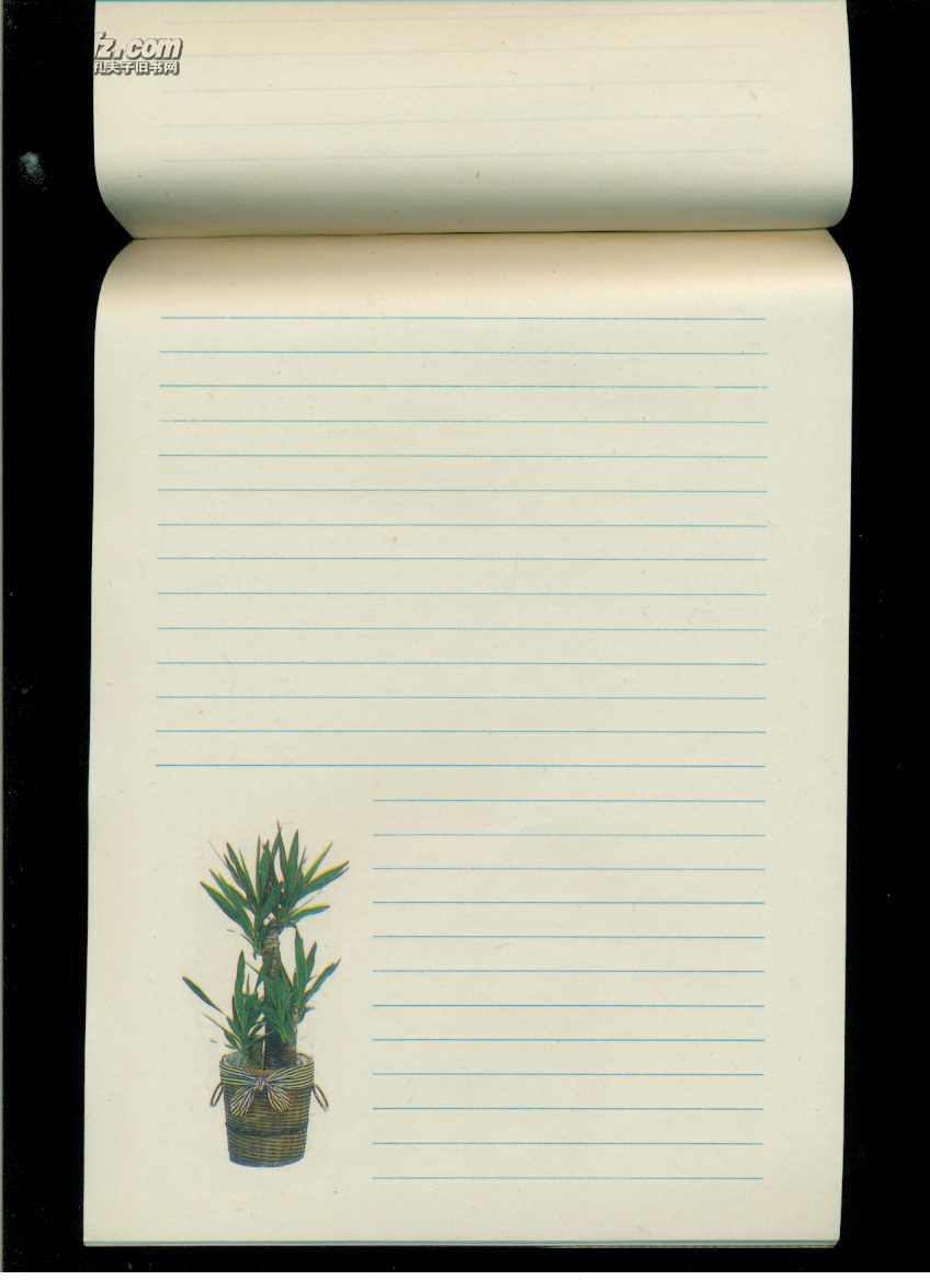 空白信纸(信笺):智择(竖16开本)