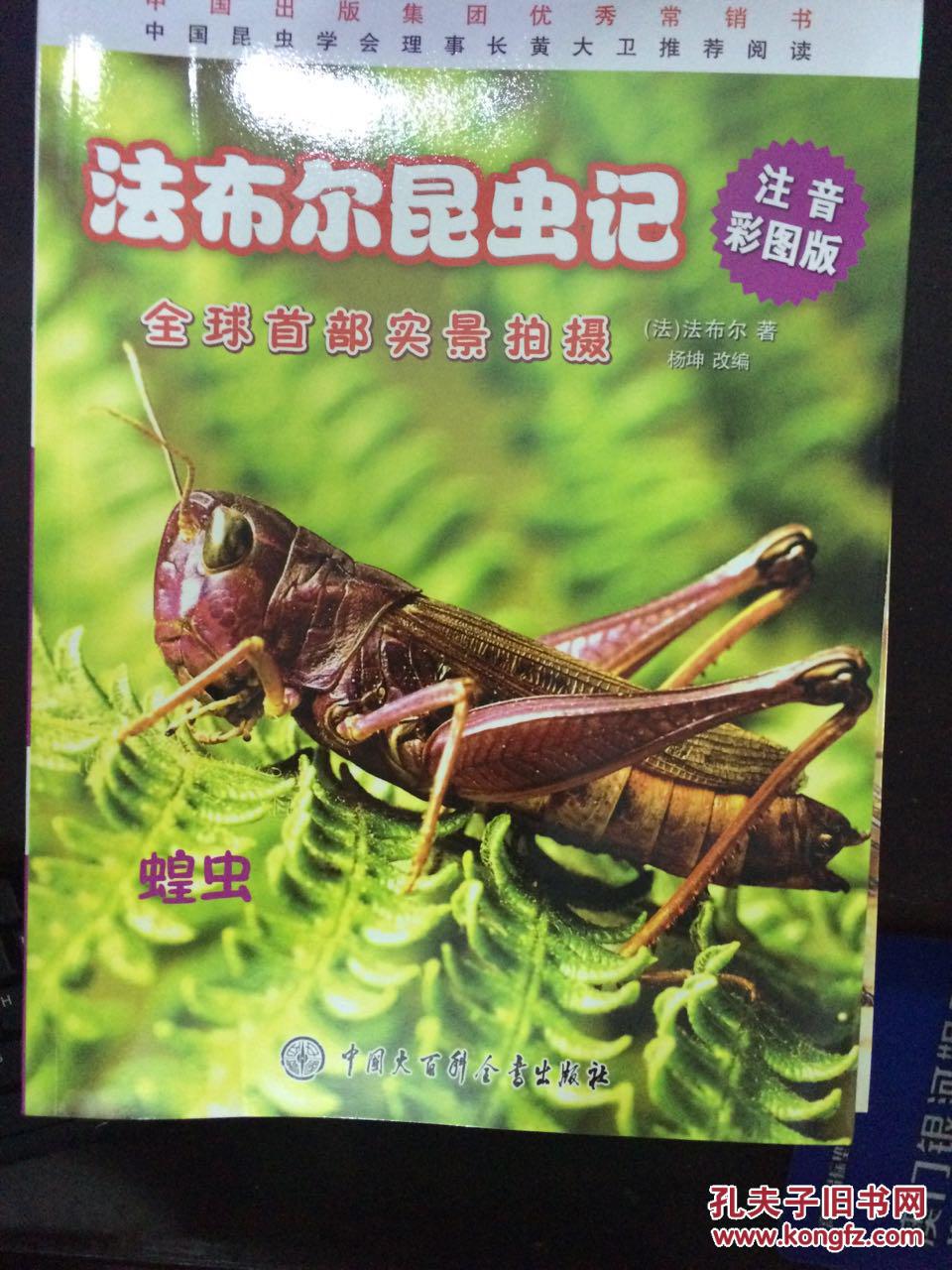 全球首部实景拍摄 注音彩图版 法布尔昆虫记 蝗虫
