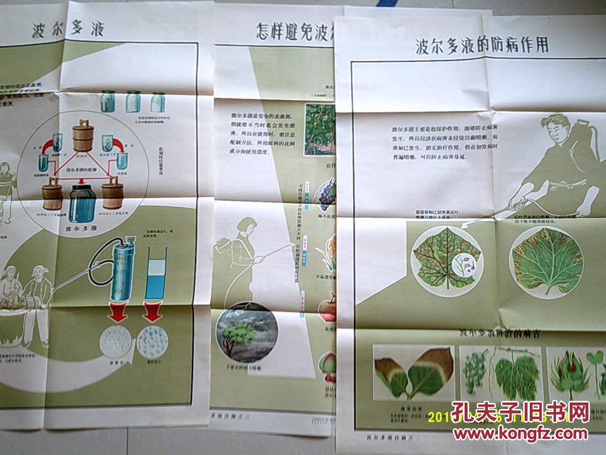 1963年 2开手绘版科普宣传画《波尔多液(1套3张齐全 原版封套加说明