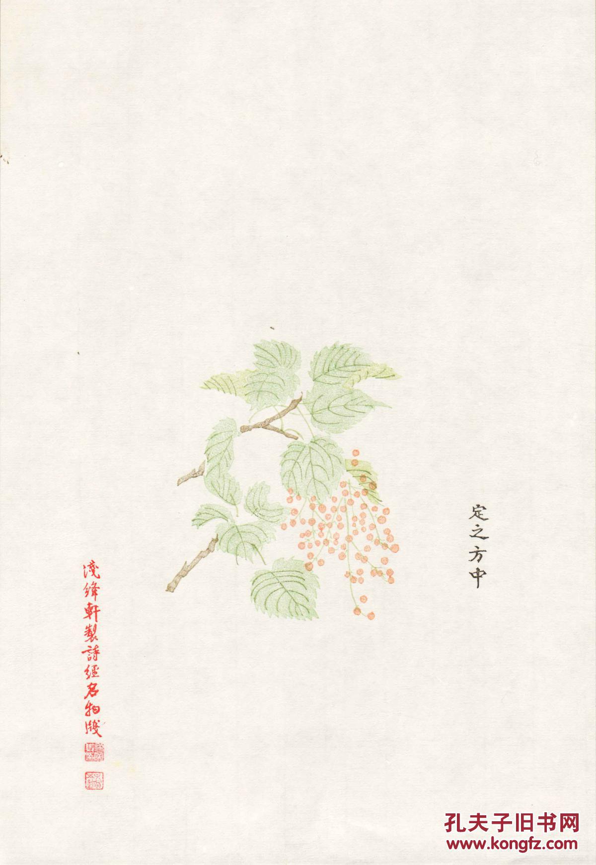 浅绛轩制诗经名物笺(收藏级私家制木版水印花笺,20种,40张一函.