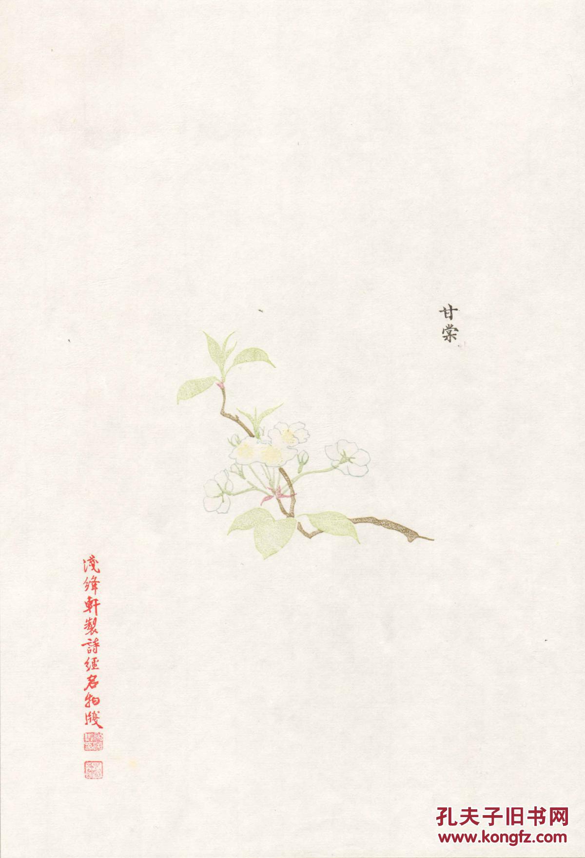 浅绛轩制诗经名物笺(收藏级私家制木版水印花笺,20种,40张一函.