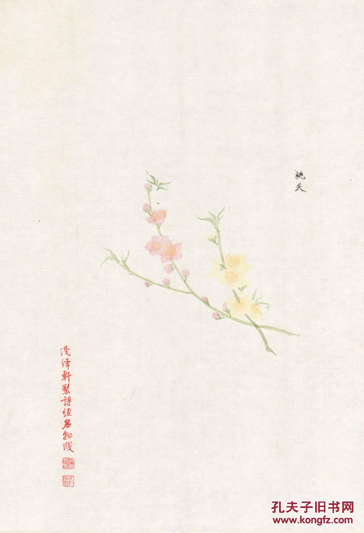 每张32×22厘米,为笺纸中的大幅)