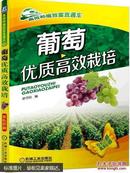 葡萄种植管理技术图书 葡萄优质高效栽培