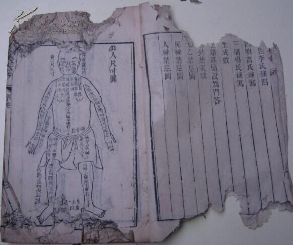 论/制针法/内经补泻/神应经补泻/园明高氏补泻/南丰李氏补泻/三衢杨氏