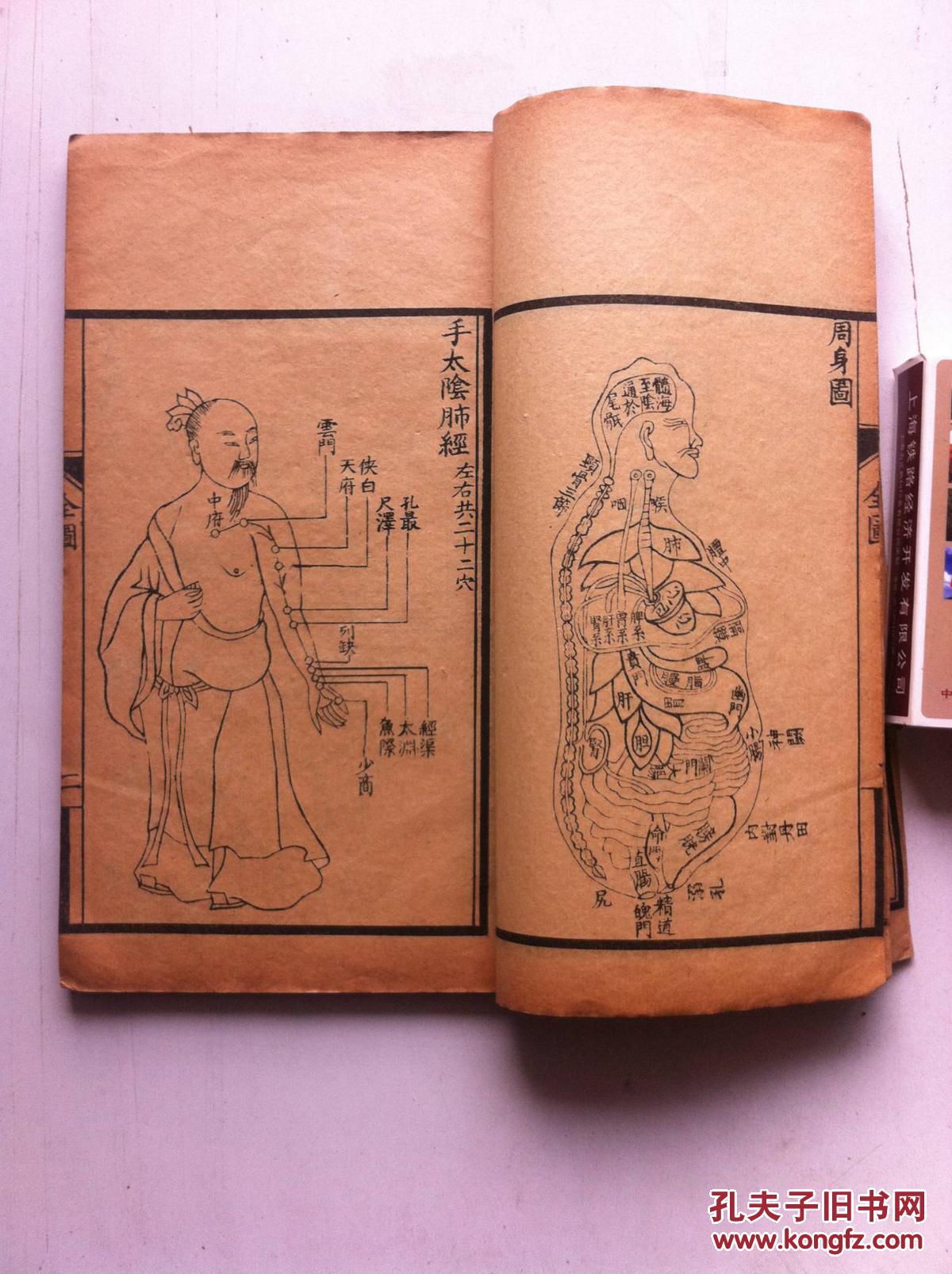 民国线装 本草分经 1册全 气功大师(张文江)家流出16k