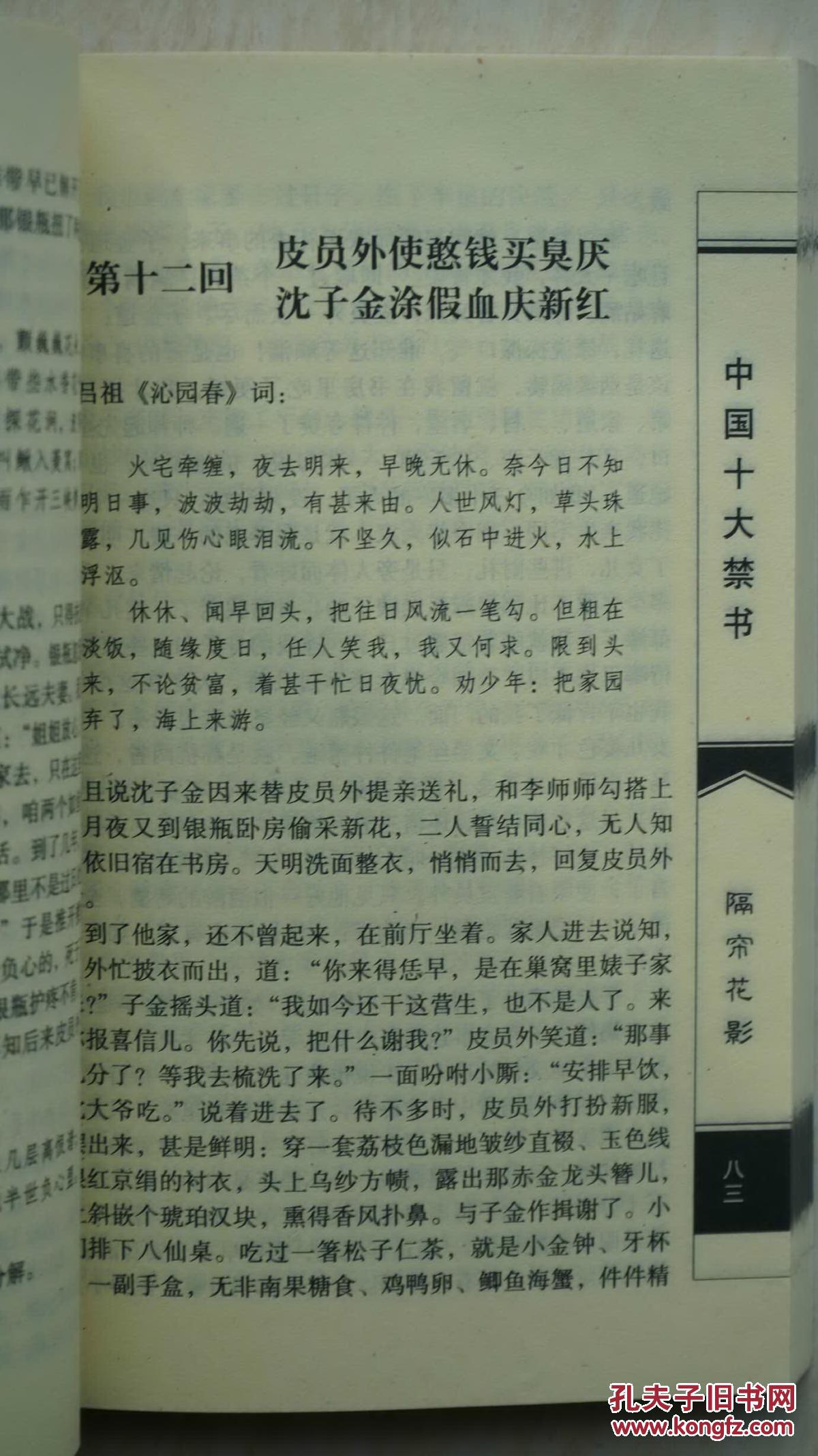 私家秘藏:中国十大禁书之《隔帘花影》(清代禁毁小说)(稀缺本)