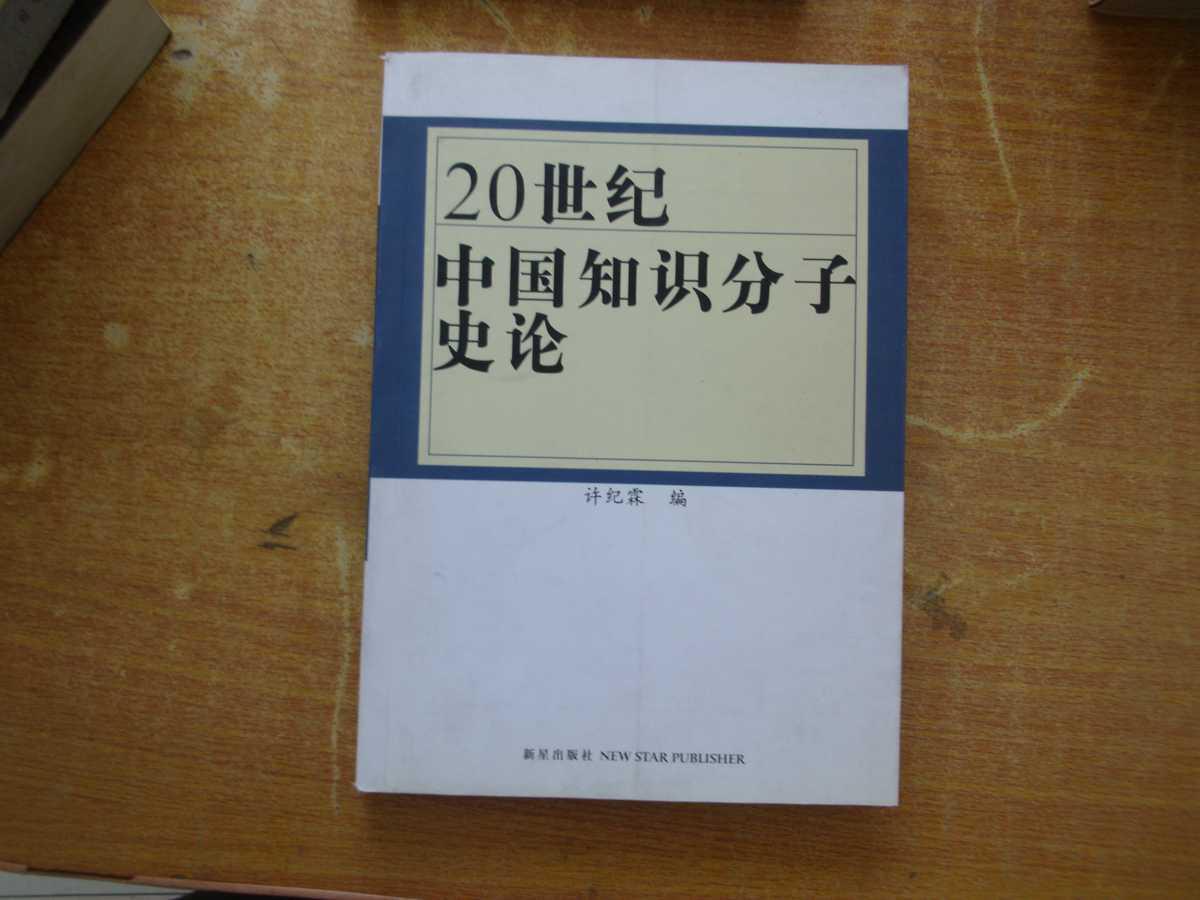 20世纪中国知识分子史论