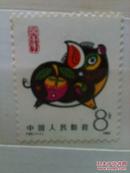 第一轮生肖猪邮票单枚