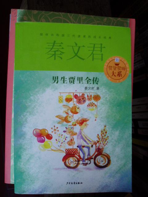 秦文君作品男生贾里全传贾里贾梅大系