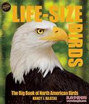 Life Size Birds