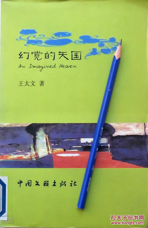 王太文《幻觉的天国》诗集，16开馆藏正版9成新