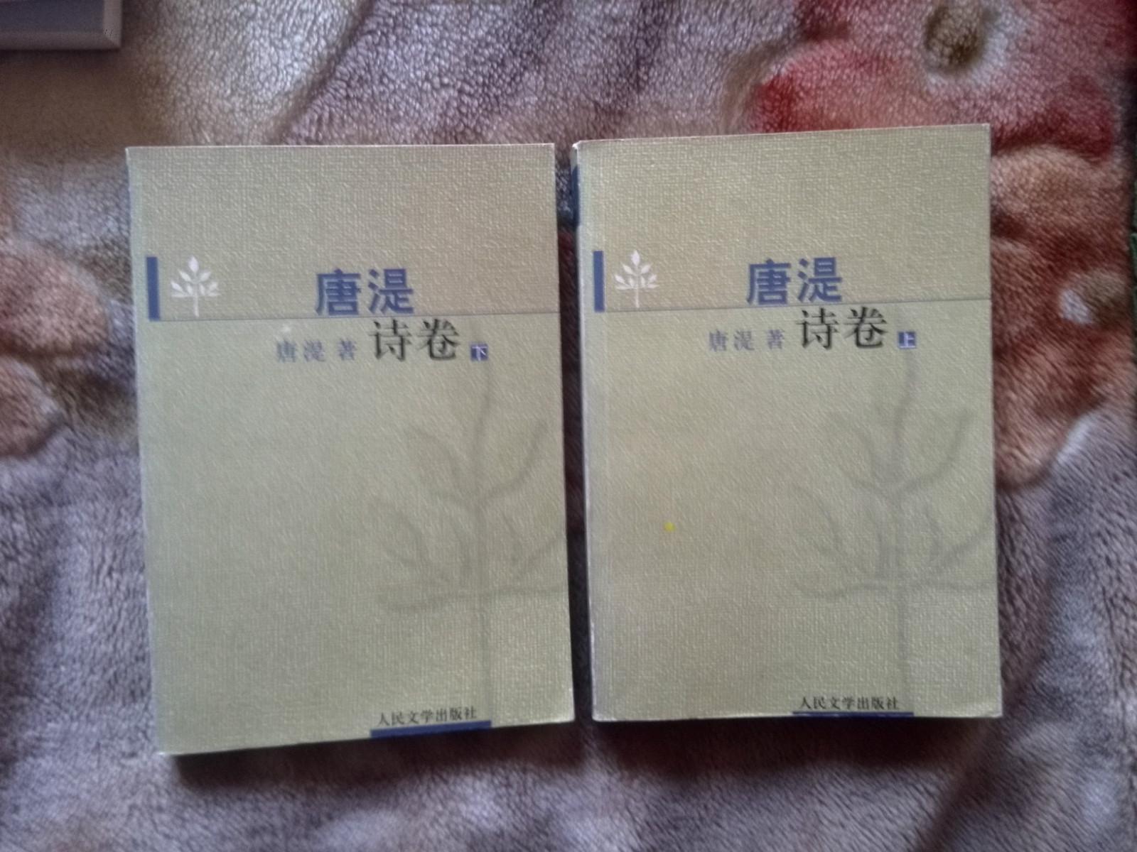 唐湜诗卷全两册