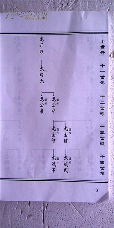 江西永新龙氏家谱图片