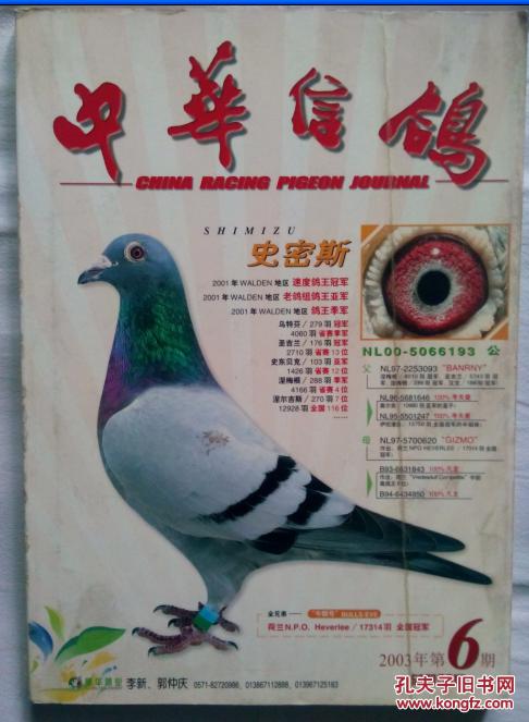 中华信鸽96.