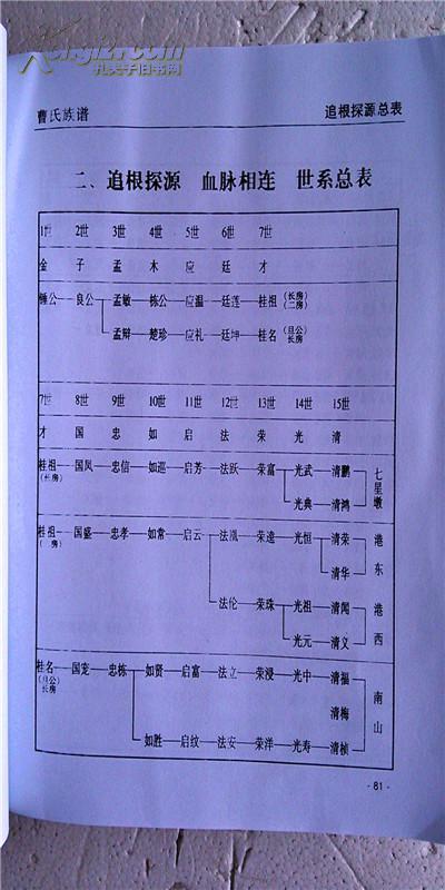 家谱曹氏族谱谯国堂河南华容钟公支16开送审本334页2011年版售原谱