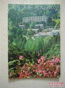 庐山植物园:摄影画册