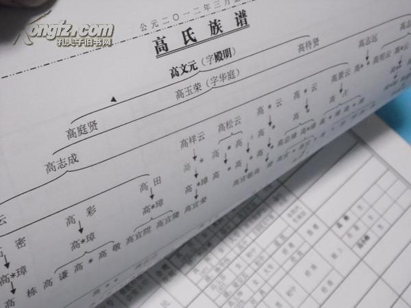 高氏家谱(厚重 安徽省阜阳茨河铺)(图3)