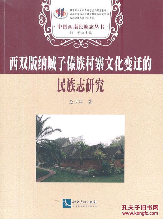 正版现货 西双版纳城子傣族村寨文化变迁的民族志研究