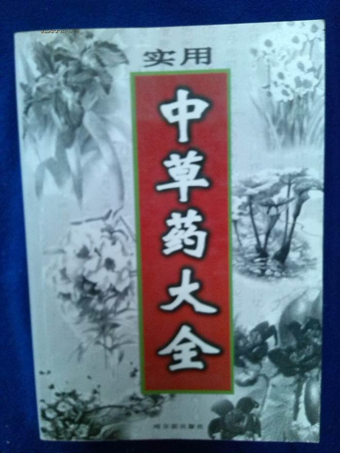 实用中草药大全  近十品  厚册