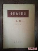 中国动物图谱.鸟类.第一册