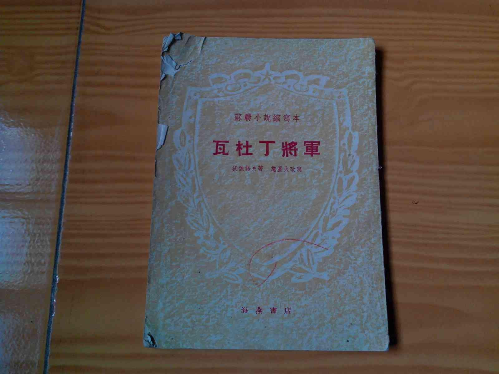 苏联小说缩写本-瓦杜丁将军