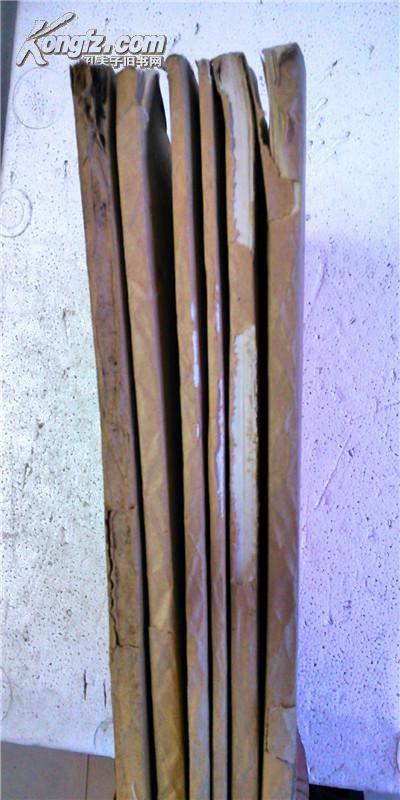 家谱---周氏宗谱【汝南郡爱莲堂】盐阜大周庄支 16开 6卷本 576页