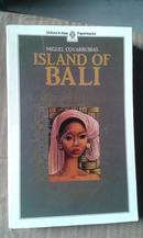 island of bali(书内有较多插图和图片）