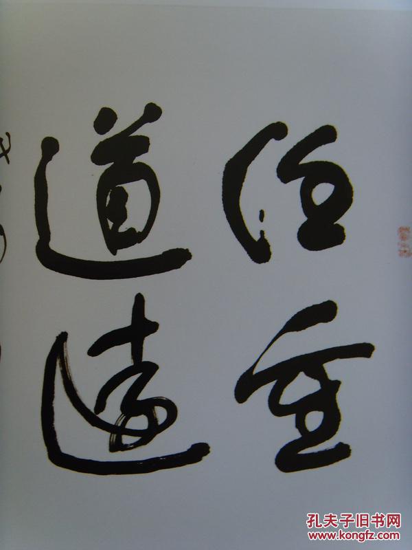 舒安:《舒安书画》(陕西省舒同书画研究院院长,舒同书法研究会会长