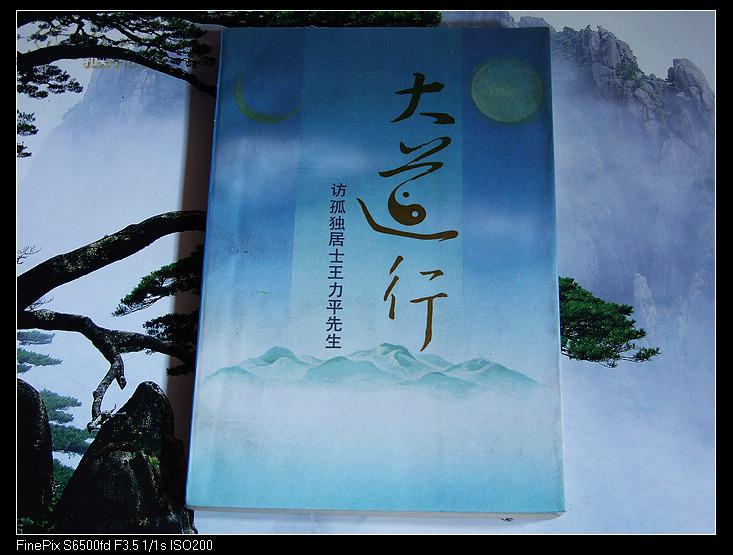 大道行:访孤独居士王力平先生