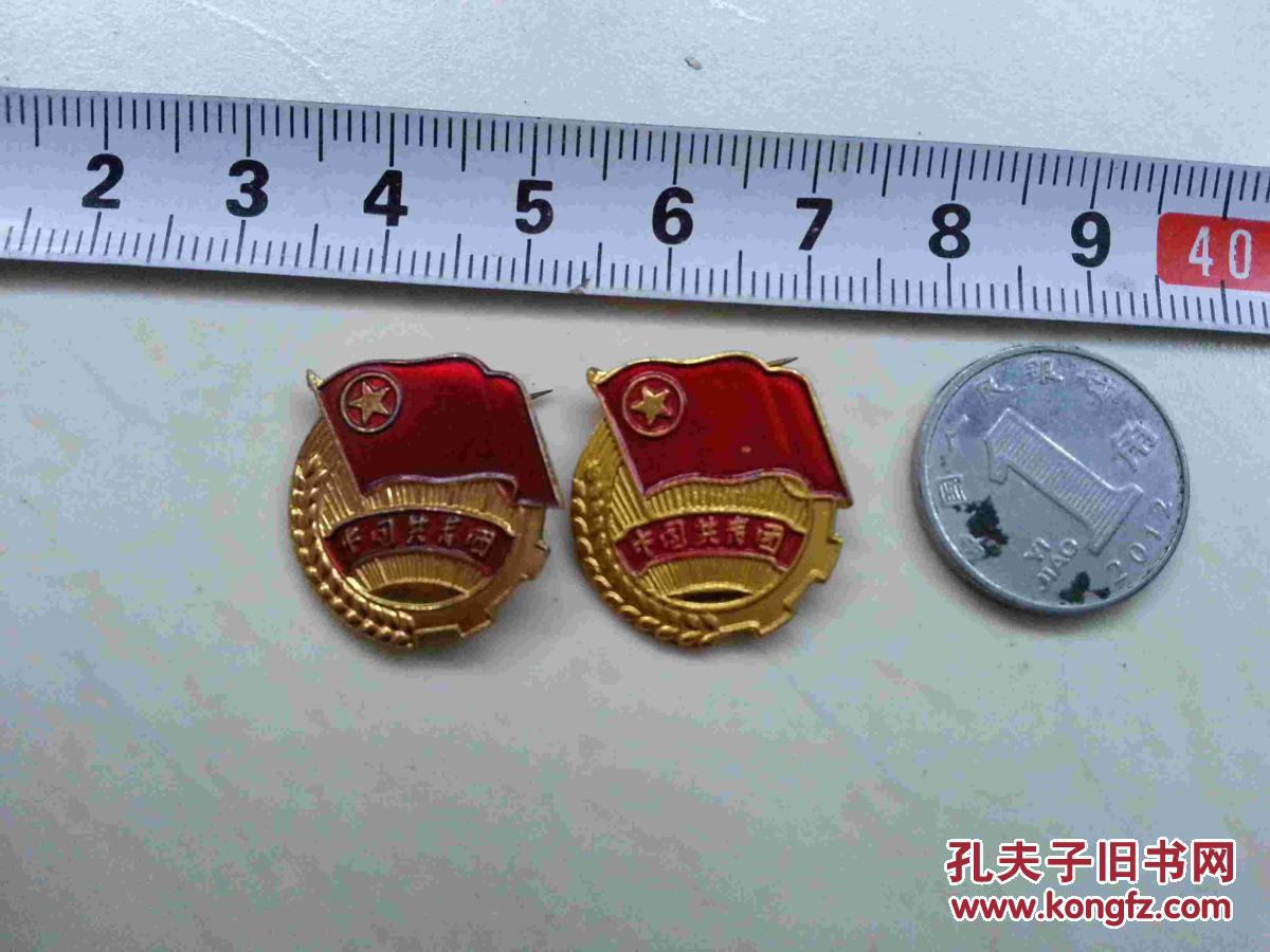 中国共青团团徽胸标徽章纪念章
