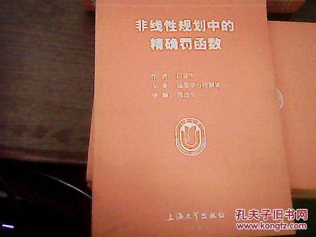 2004年上海大学博士学位论文48  非线性规划中的精确罚函数