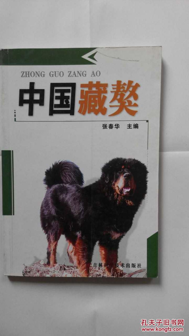 中国藏獒