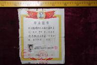 1962年，毕业证书，上海市长宁区梵皇渡路第一小学，品相如图